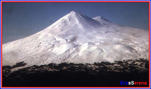 llaimahermosa vista